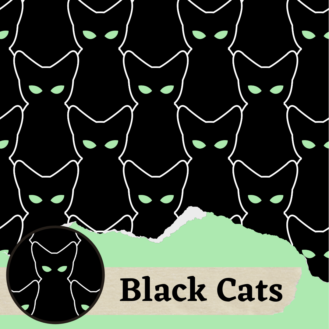 Black Cats