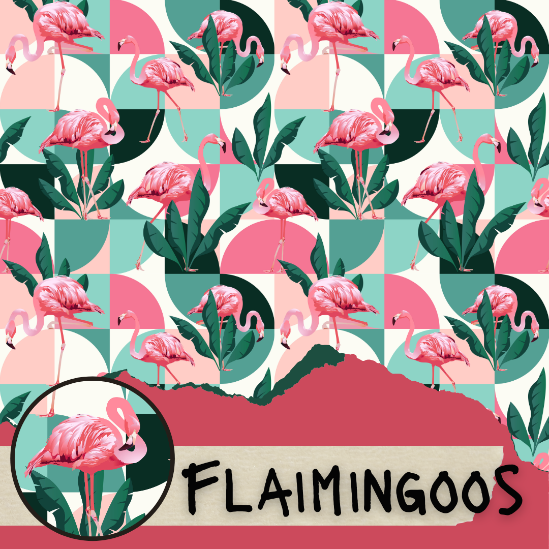 Flamingoos