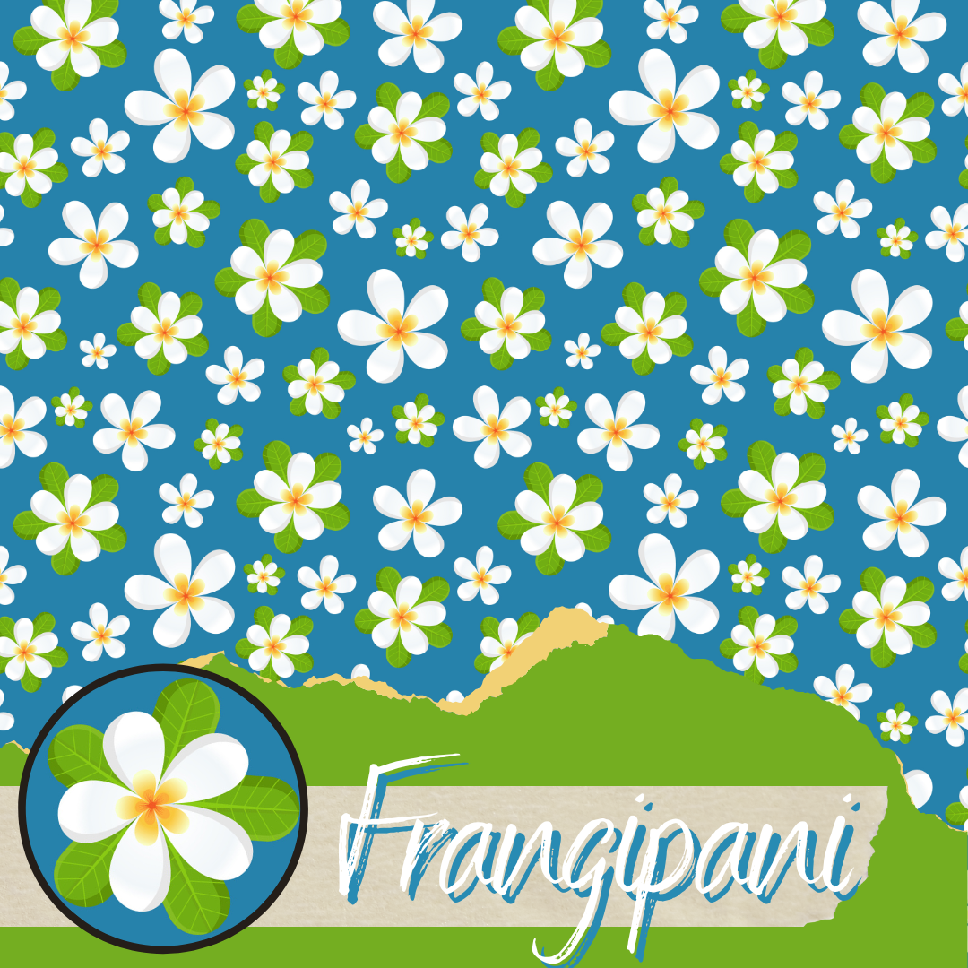 Frangipani