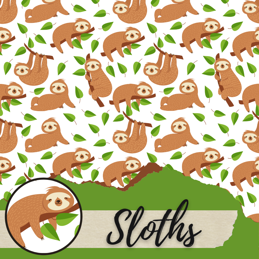 Sloths