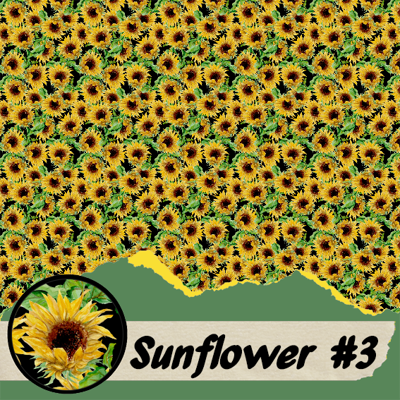 Sunflower #3